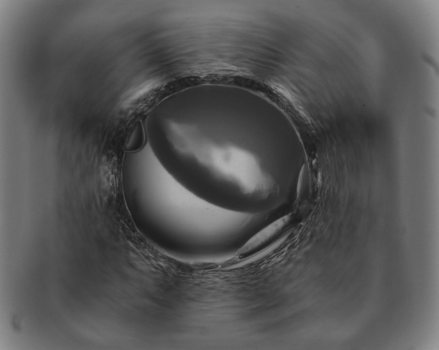 X0000091481063200708231355