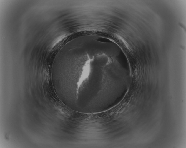 X0000091481064200708231355