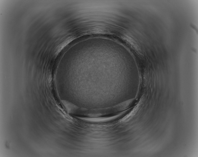 X0000091481065200708231355