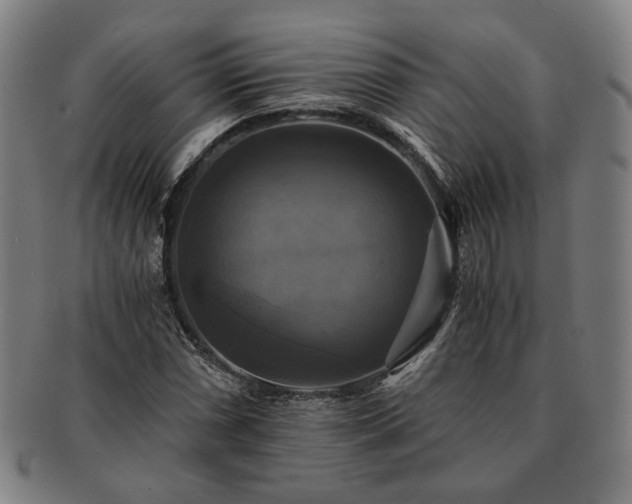 X0000091481066200708231355