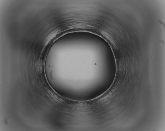 X0000091481067200708231355