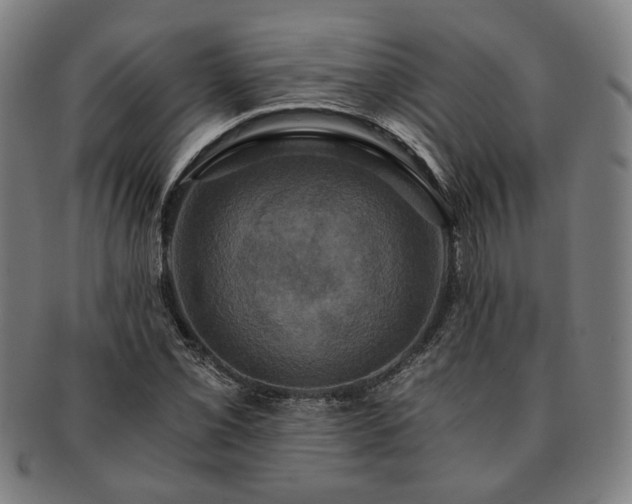 X0000091481069200708231355