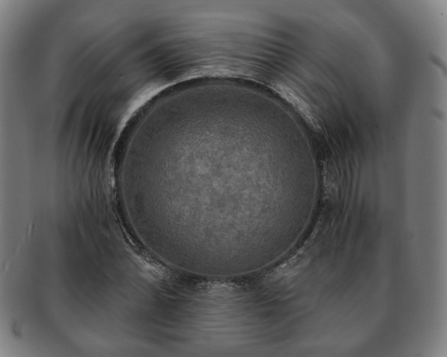 X0000091481070200708231355