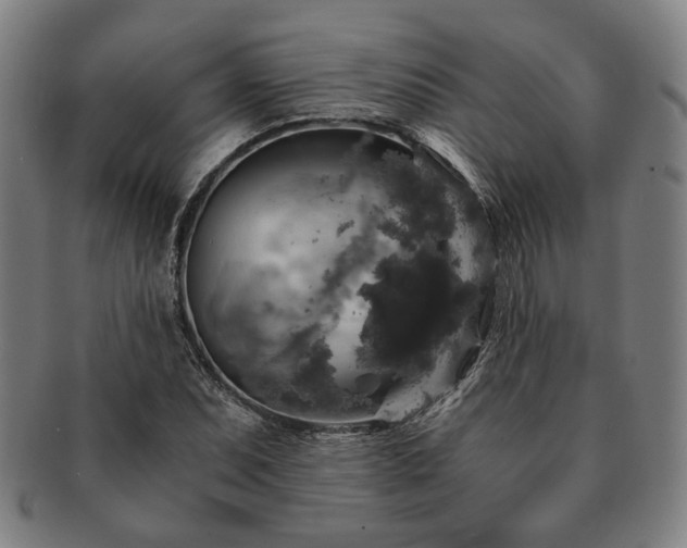 X0000091481071200708231355