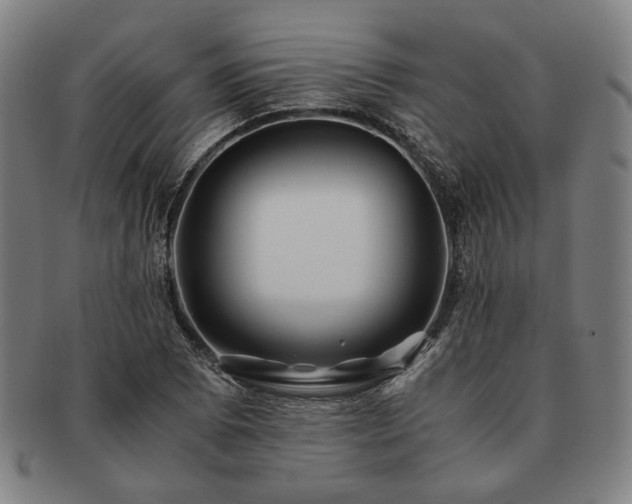 X0000091481073200708231355