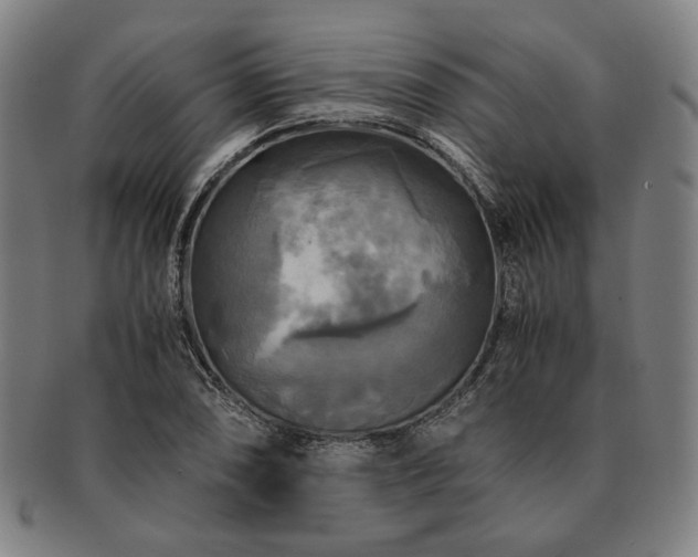 X0000091481074200708231355