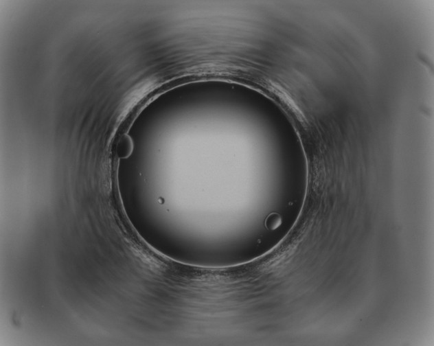 X0000091481075200708231355