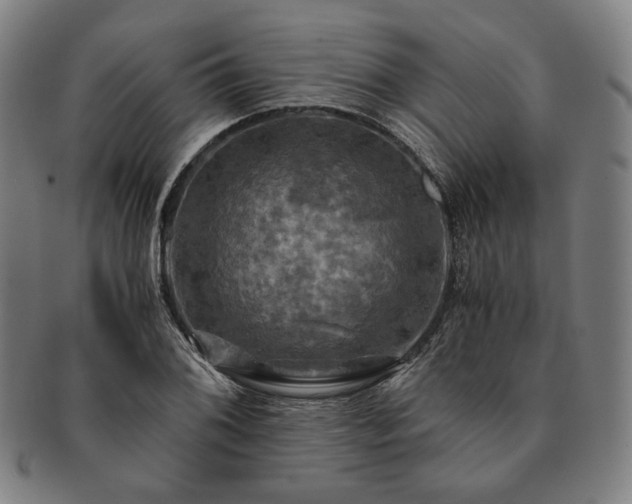 X0000091481076200708231355