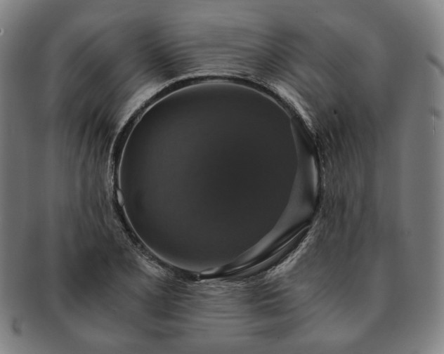 X0000091481077200708231355