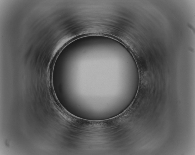 X0000091481078200708231355