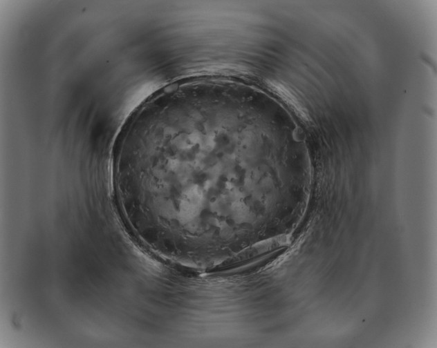 X0000091481079200708231355