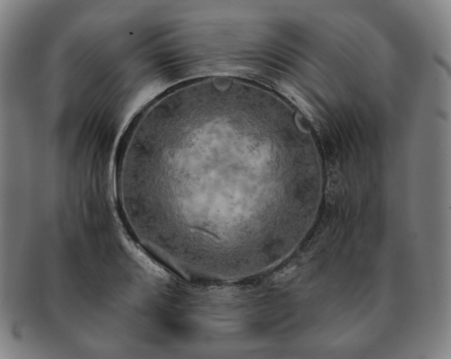 X0000091481080200708231355