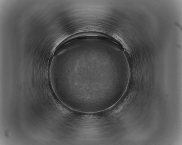 X0000091481081200708231355