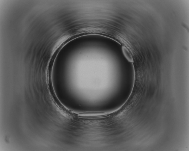 X0000091481082200708231355