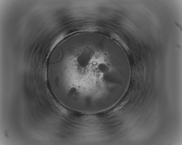 X0000091481083200708231355