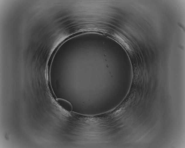 X0000091481084200708231355