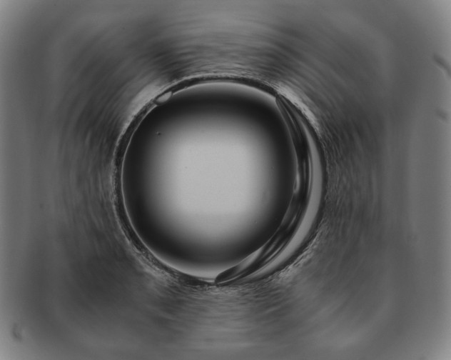 X0000091481085200708231355