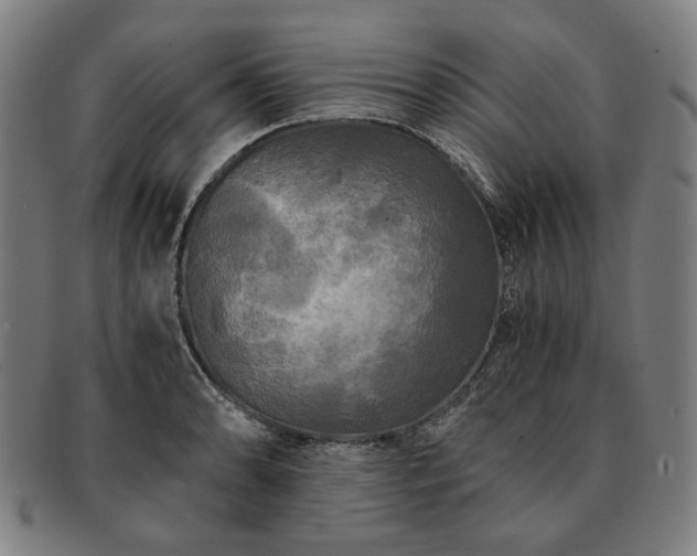 X0000091481086200708231355