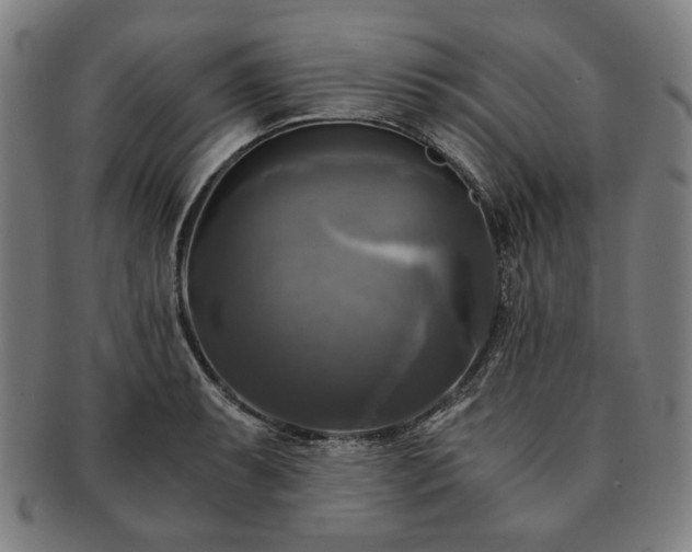 X0000091481087200708231355