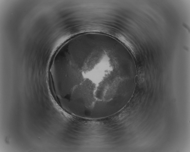 X0000091481088200708231355