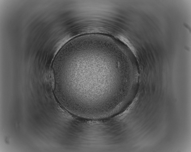 X0000091481089200708231355