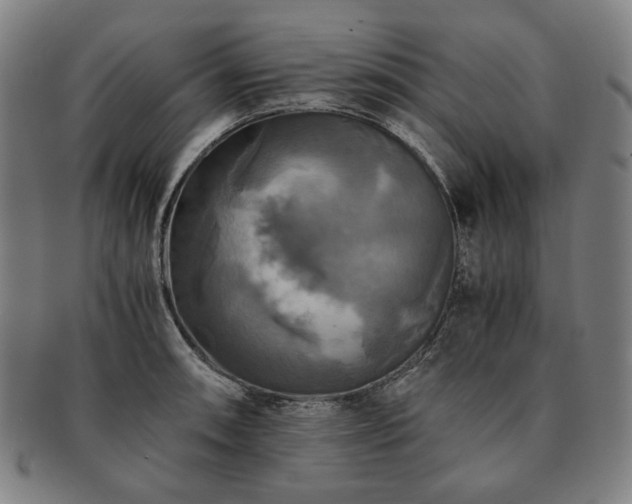 X0000091481090200708231355