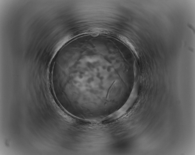 X0000091481091200708231355