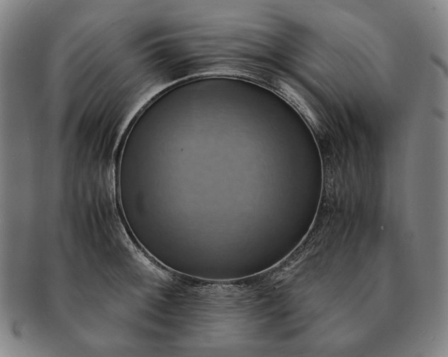 X0000091481092200708231355