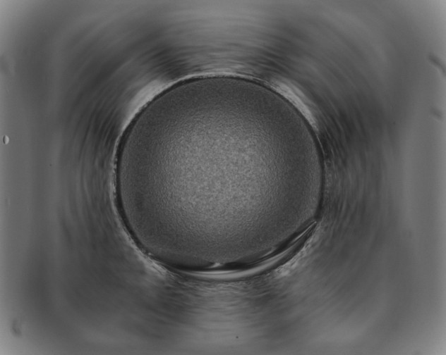 X0000091481093200708231355