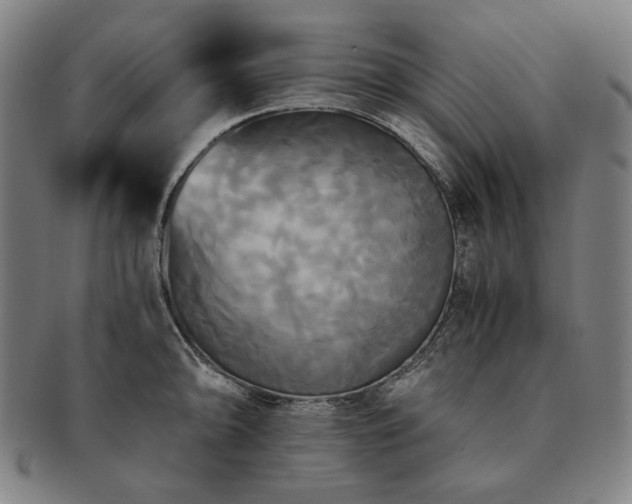 X0000091481094200708231355