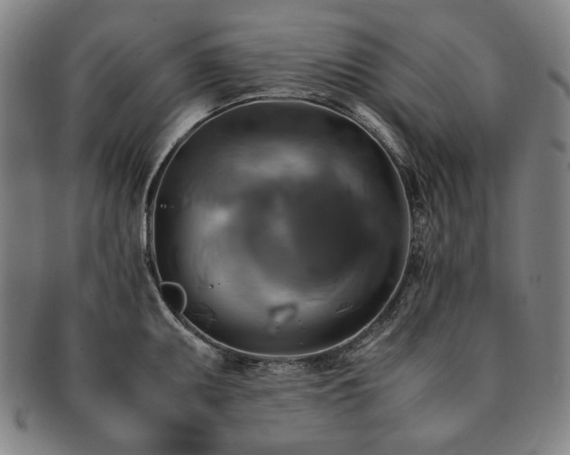 X0000091481095200708231355