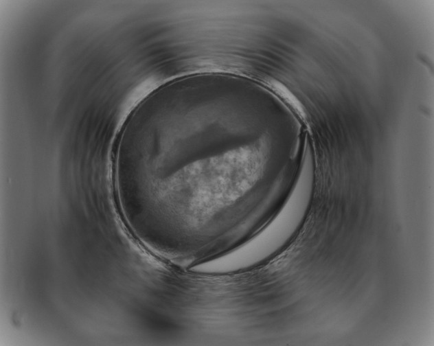 X0000091481096200708231355