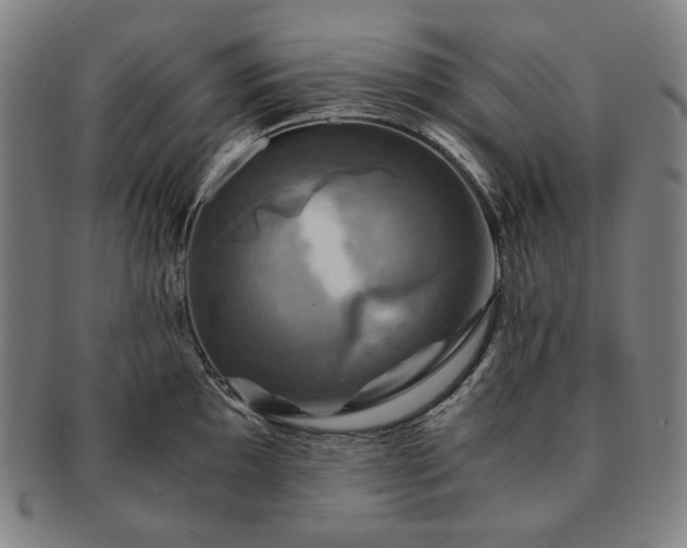 X0000091481097200708231355