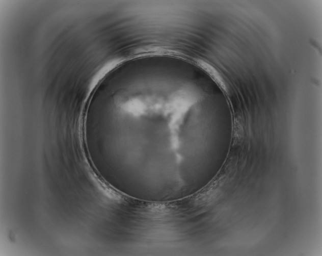 X0000091481098200708231355