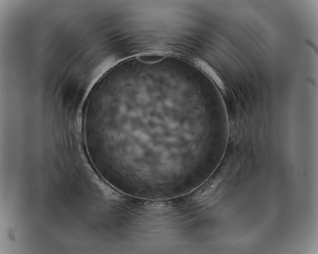 X0000091481099200708231355