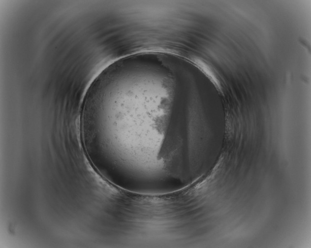 X0000091481100200708231355