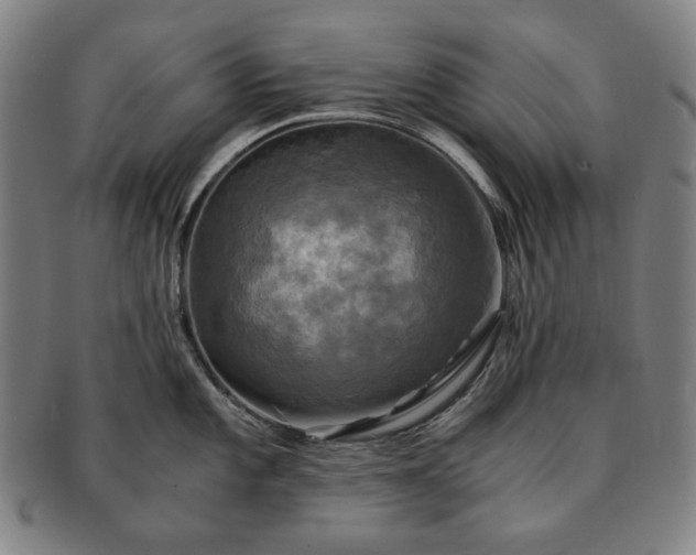 X0000091481101200708231355