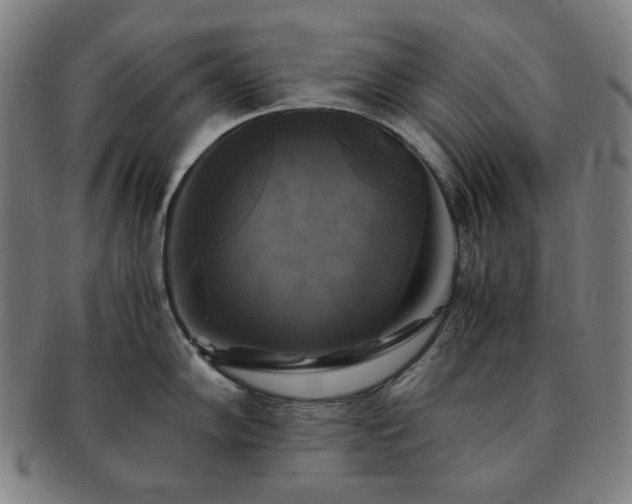 X0000091481102200708231355