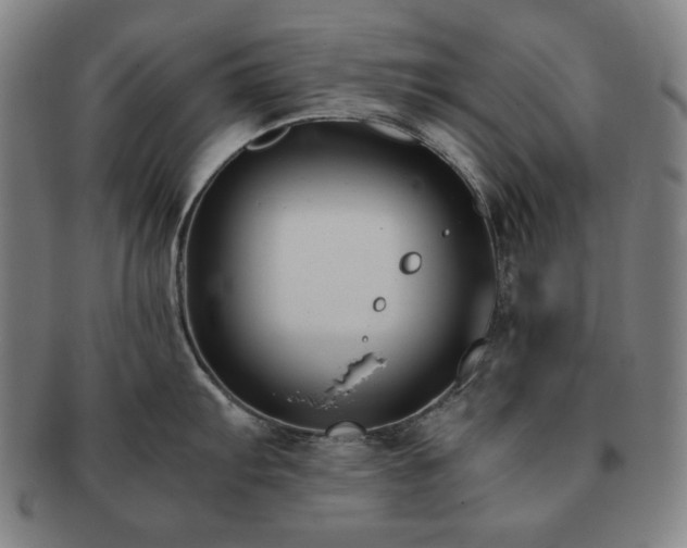 X0000091481103200708231355