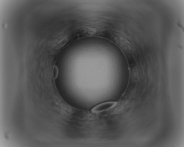 X0000091481105200708231354