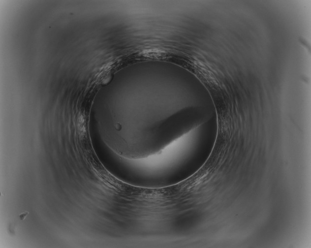 X0000091481106200708231354