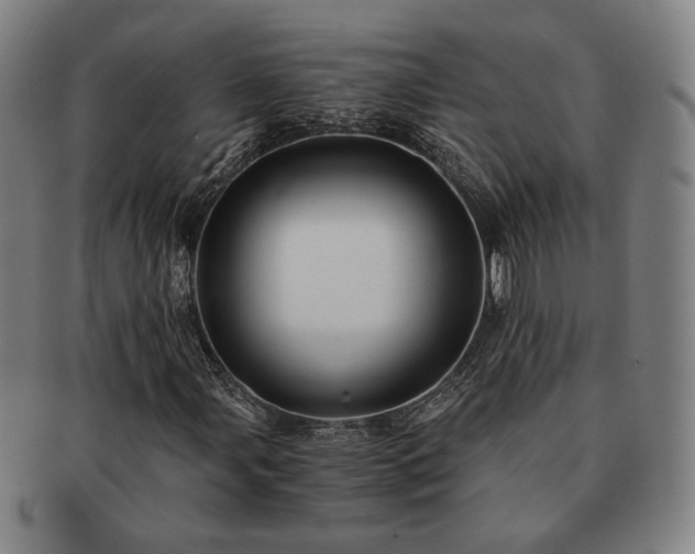 X0000091481107200708231354