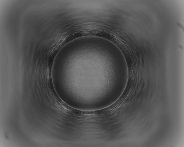 X0000091481108200708231354