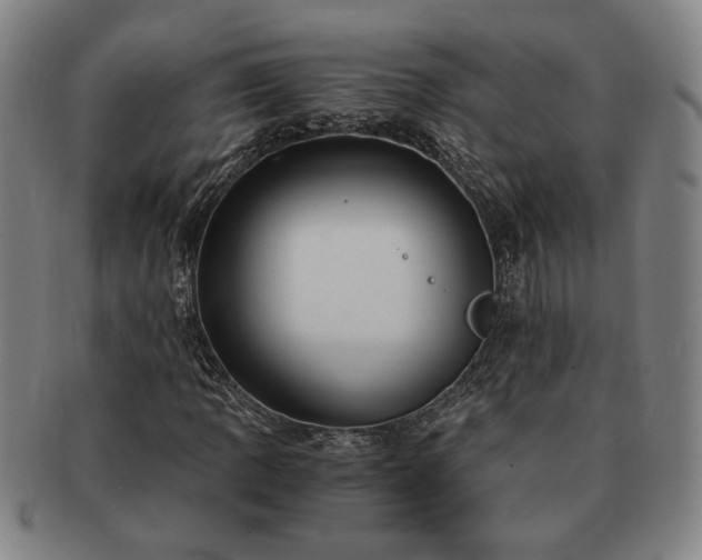 X0000091481109200708231354