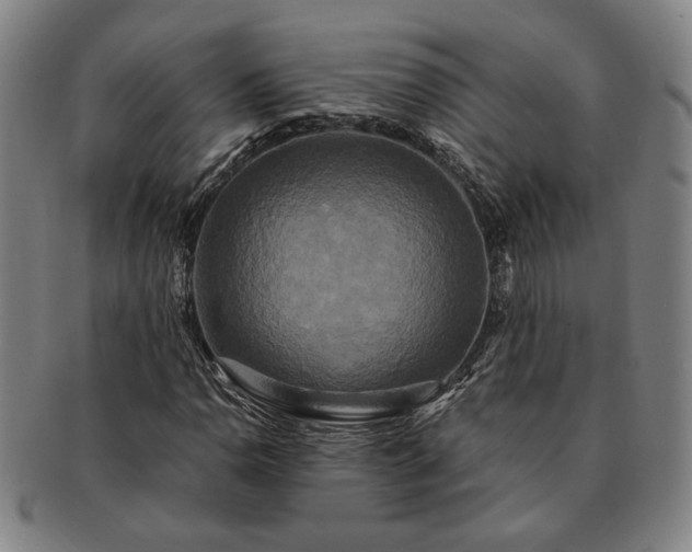 X0000091481110200708231354