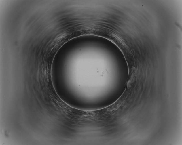 X0000091481111200708231354