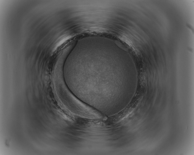 X0000091481112200708231354