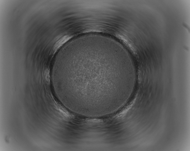 X0000091481113200708231354