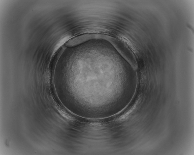 X0000091481114200708231354