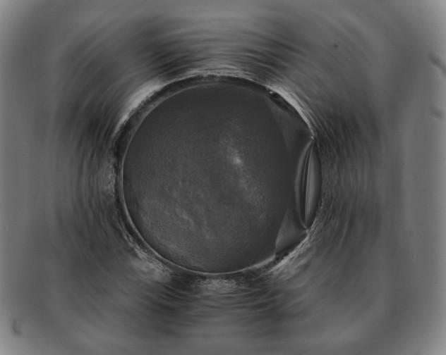 X0000091481115200708231354